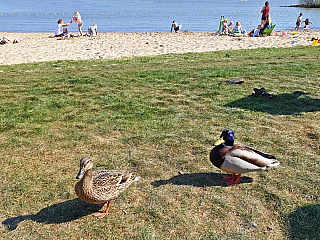 Volendam Marina Park (Nizozemí)