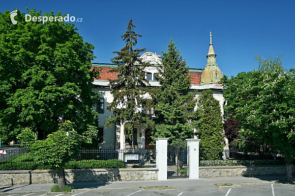 Szentendre (Maďarsko)