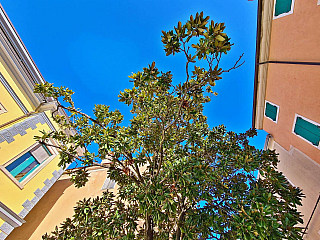 Umag (Istrie - Chorvatsko)