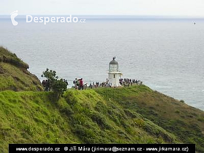 Cape Reinga (Nový Zéland)