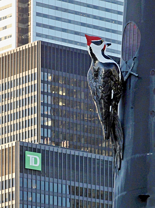 Downtown v Torontu (Ontario - Kanada)