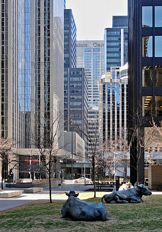 Downtown v Torontu (Ontario - Kanada)