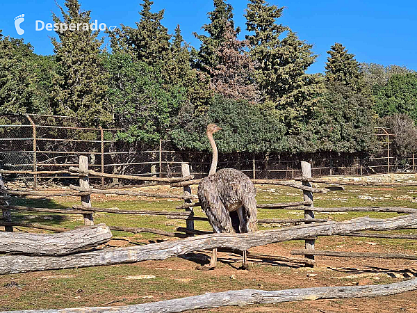 Malá ZOO na souostroví Brijuni (Istrie - Chorvatsko)