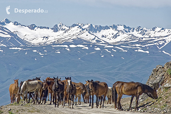 Kyrgyzstán