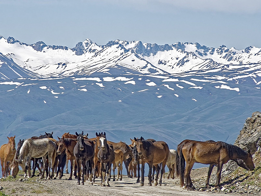 Kyrgyzstán