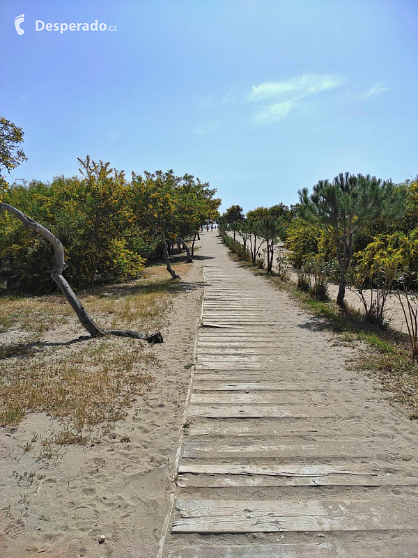 Patara (Turecko)