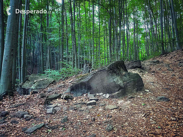 Cestou späť zo Starohutského vodopádu (Slovensko)