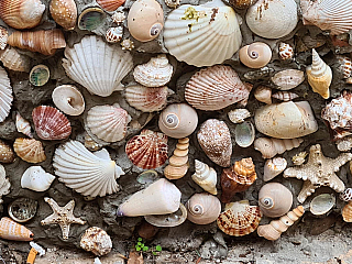 Rovinj (Istrie - Chorvatsko)