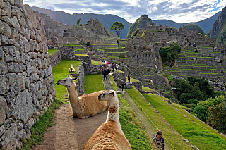 Salkantay trek na Machu Picchu (Peru)