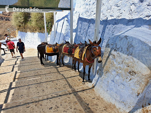 Fira (Santorini - Řecko)