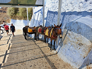 Fira (Santorini - Řecko)