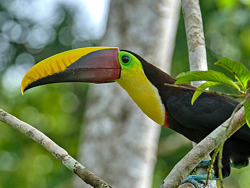 Pět míst v Kostarice, které musíte navštívit