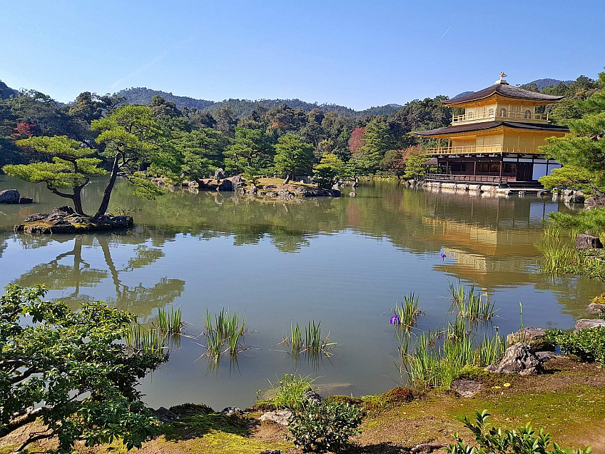 Zlatý chrám Kinkaku-ji (Kyoto - Japonsko)