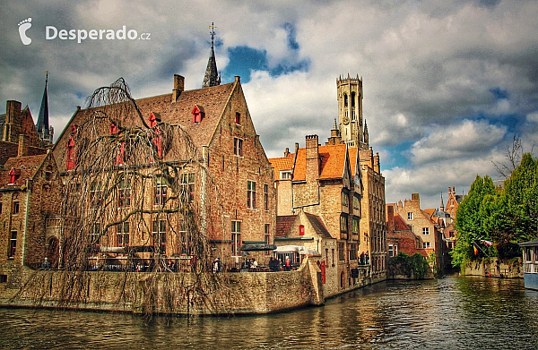 Bruggy (Belgie)