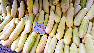 Centrální trh v Port Louis (Mauricius)