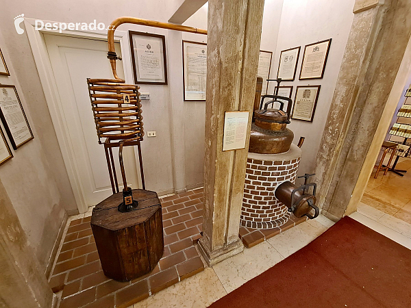 Poli Museo della Grappa v Bassano del Grappa (Veneto - Itálie)