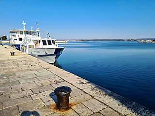 Veliký Brijun (istrie - Chorvatsko)