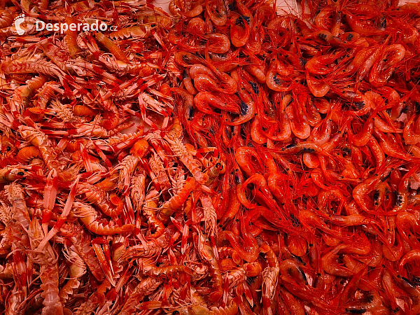 Mercado San Augustín v Granadě (Andalusie - Španělsko)