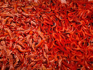 Mercado San Augustín v Granadě (Andalusie - Španělsko)