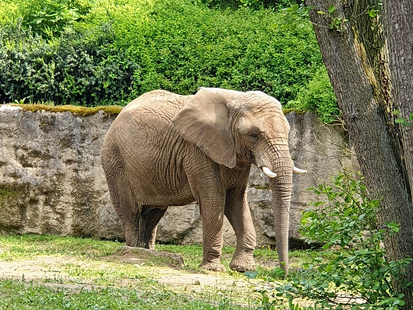 ZOO Zlín v Lešné (Česká republika)