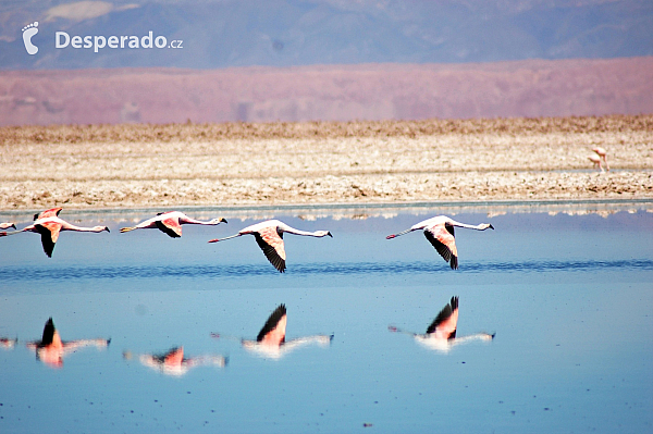 Poušť Atacama (Chile)
