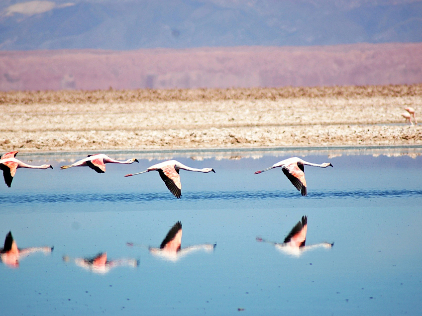 Poušť Atacama (Chile)