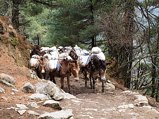 19.3.2023 Lukla a Namche Bazaar