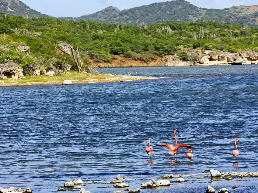 Bonaire