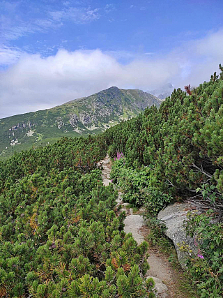 Furkotská dolina (Vysoké Tatry - Slovensko)