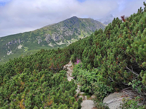 Furkotská dolina (Vysoké Tatry - Slovensko)
