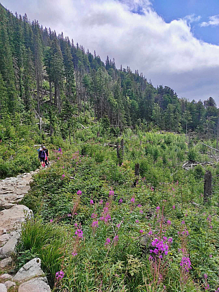 Skalnaté pleso (Vysoké Tatry - Slovensko)