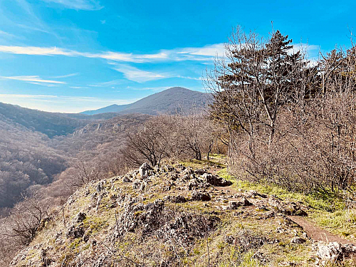 Záruby: Najvyšší vrch v Malých Karpatoch