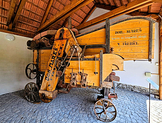 Arboretum Bílá Lhota na Hané (Česká republika)