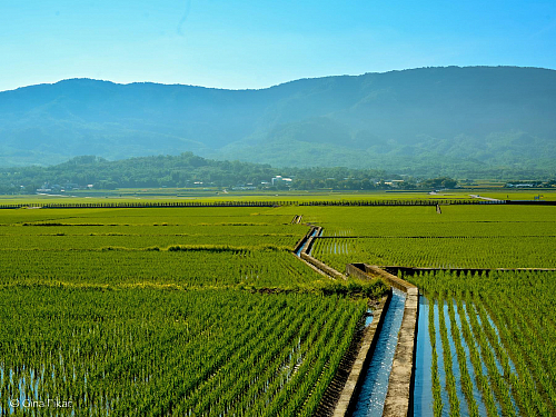 Chishang (Tchaj-wan)