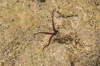 Zelený ostrov - Green Island (Taitung - Tchaj-wan)