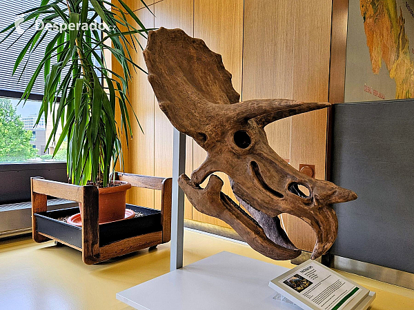 Geologický pavilon prof. F. Pošepného v Ostravě-Porubě (Česká republika)