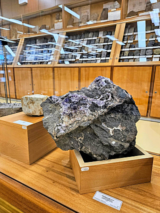 Geologický pavilon prof. F. Pošepného v Ostravě-Porubě (Česká republika)