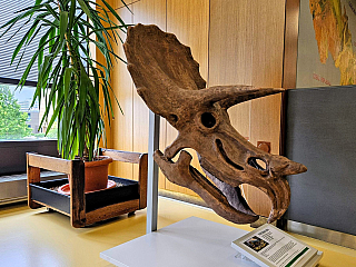 Geologický pavilon prof. F. Pošepného v Ostravě-Porubě (Česká republika)