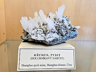 Geologický pavilon prof. F. Pošepného v Ostravě-Porubě (Česká republika)