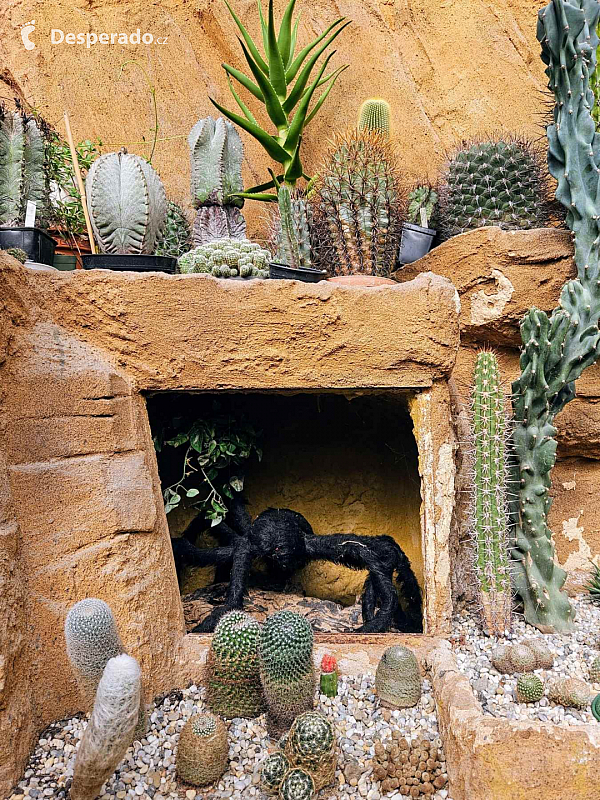 Tropic Hukvaldy (Česká republika)