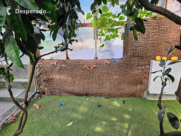 Tropic Hukvaldy (Česká republika)