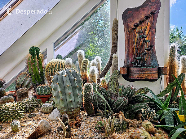 Tropic Hukvaldy (Česká republika)