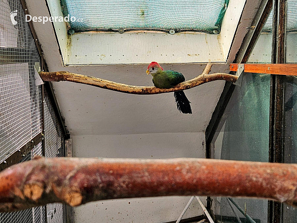 Tropic Hukvaldy (Česká republika)