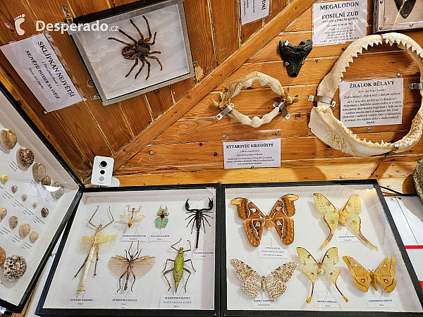 Tropic Hukvaldy (Česká republika)