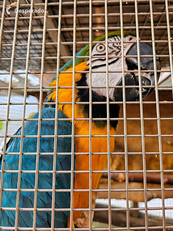 Tropic Hukvaldy (Česká republika)