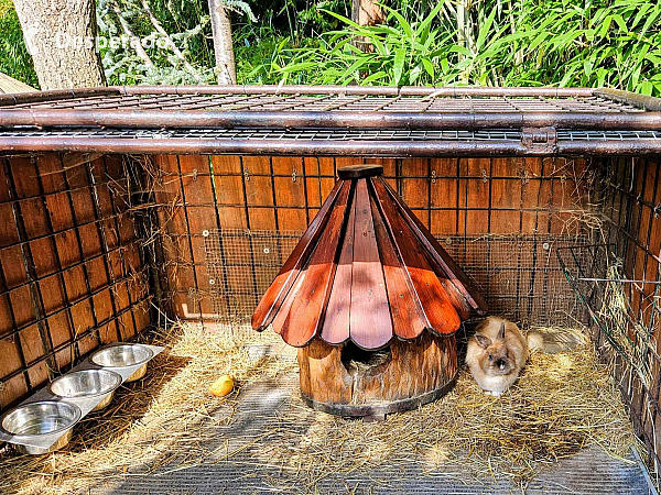 Tropic Hukvaldy (Česká republika)