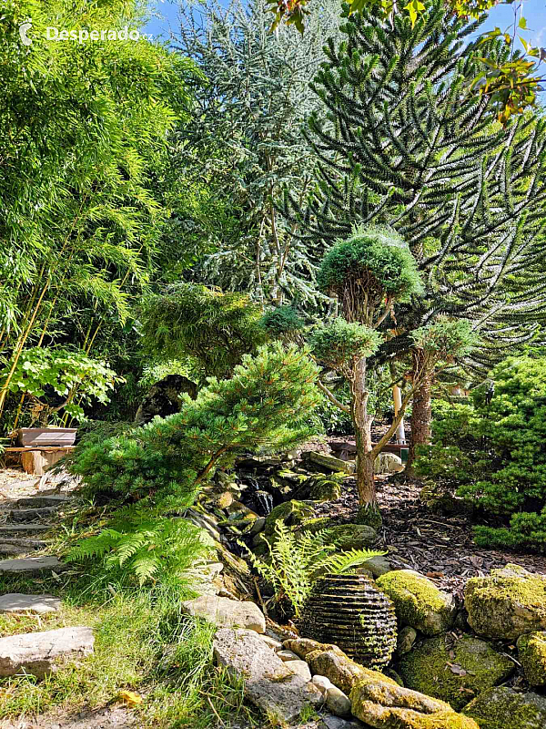 Tropic Hukvaldy (Česká republika)