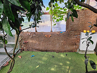 Tropic Hukvaldy (Česká republika)