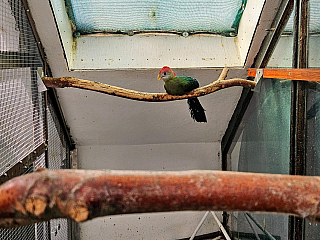 Tropic Hukvaldy (Česká republika)