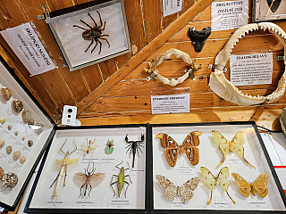 Tropic Hukvaldy (Česká republika)